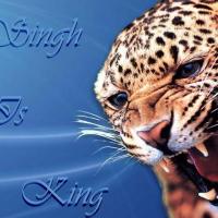 singh is king